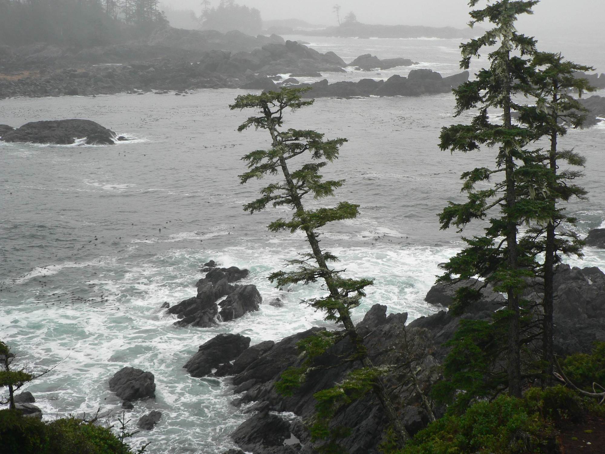 Black Rock Oceanfront Resort Ucluelet Exterior photo